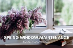 Spring Window Maintenance